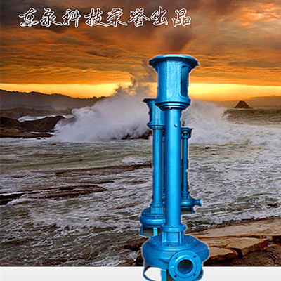 长杆泥浆泵 DYWS50-10 3KW 不阻塞大流量